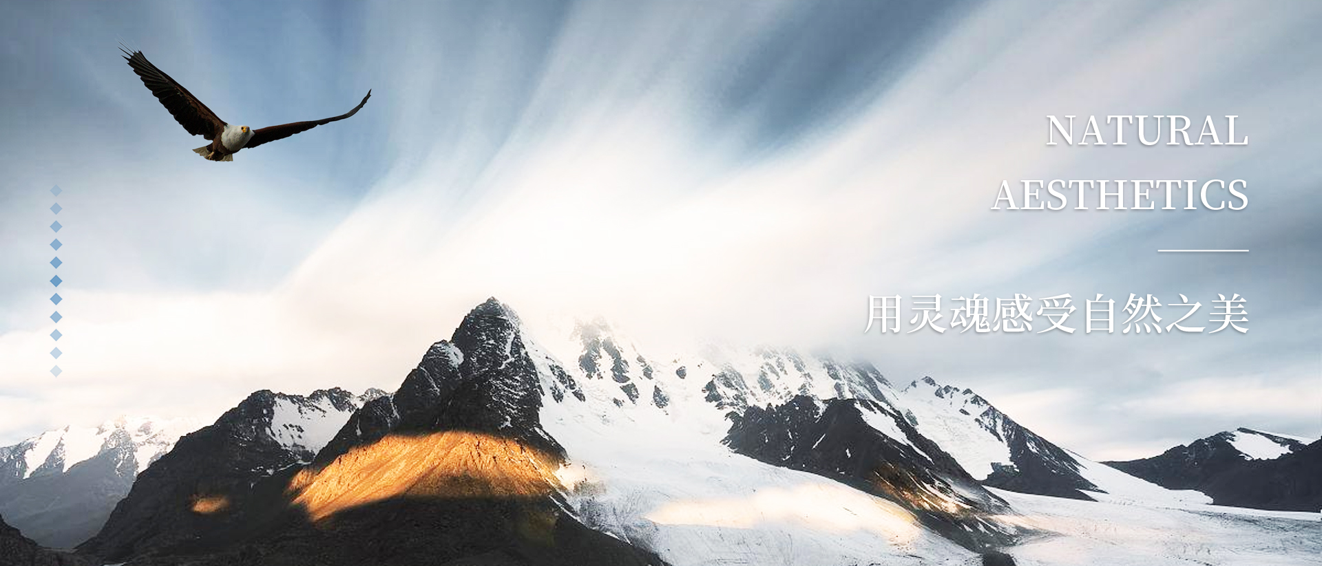 美学苑高研苑